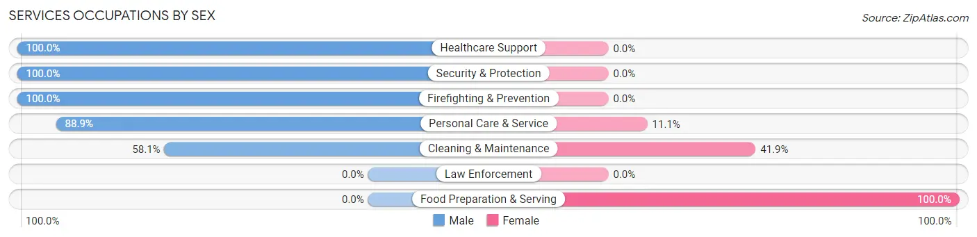 Services Occupations by Sex in Zip Code 80653