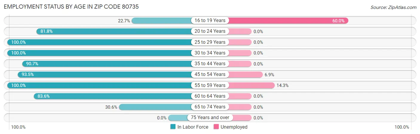 Employment Status by Age in Zip Code 80735