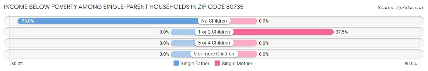 Income Below Poverty Among Single-Parent Households in Zip Code 80735