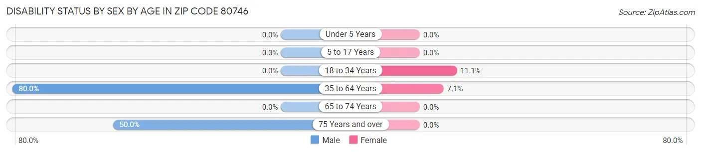 Disability Status by Sex by Age in Zip Code 80746