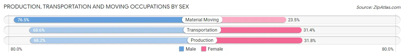 Production, Transportation and Moving Occupations by Sex in Zip Code 80917
