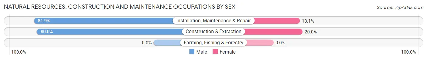 Natural Resources, Construction and Maintenance Occupations by Sex in Zip Code 81328