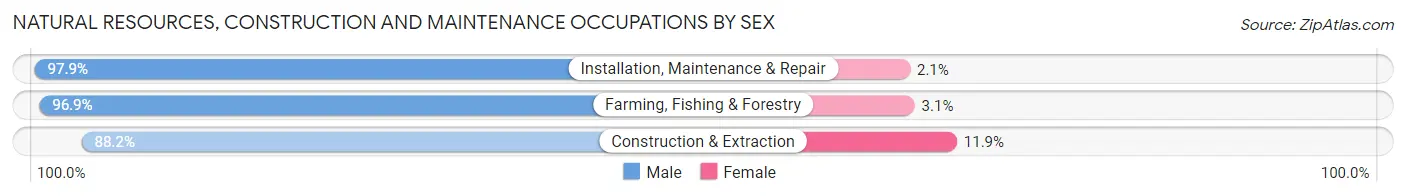 Natural Resources, Construction and Maintenance Occupations by Sex in Zip Code 83861