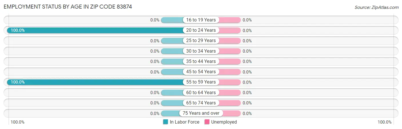 Employment Status by Age in Zip Code 83874