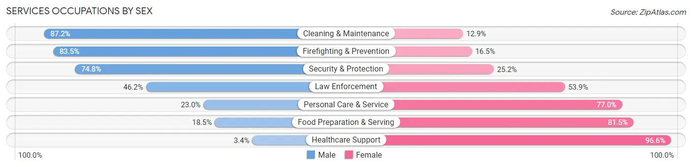 Services Occupations by Sex in Zip Code 84025