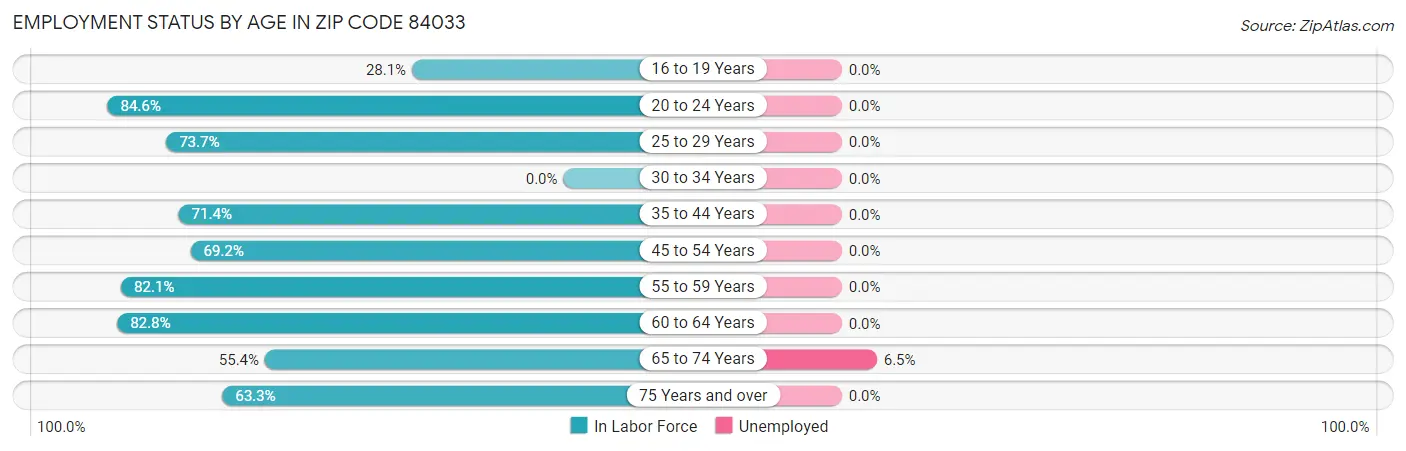 Employment Status by Age in Zip Code 84033