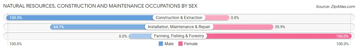 Natural Resources, Construction and Maintenance Occupations by Sex in Zip Code 84035