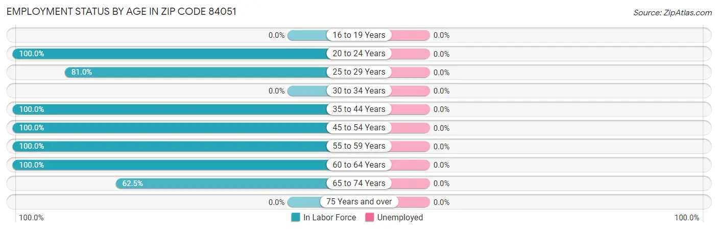 Employment Status by Age in Zip Code 84051