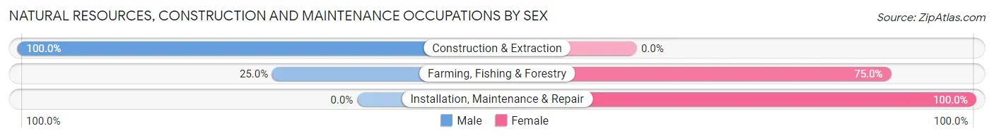 Natural Resources, Construction and Maintenance Occupations by Sex in Zip Code 84053