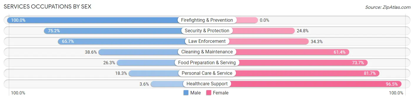 Services Occupations by Sex in Zip Code 84078