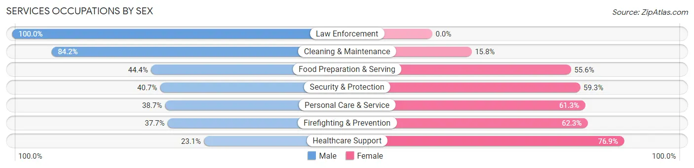 Services Occupations by Sex in Zip Code 84102