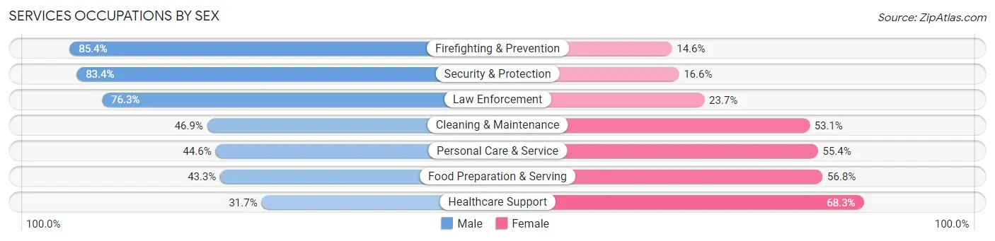 Services Occupations by Sex in Zip Code 84104