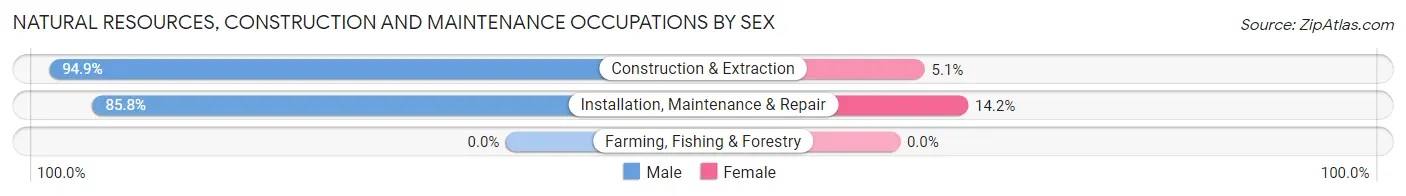 Natural Resources, Construction and Maintenance Occupations by Sex in Zip Code 84106