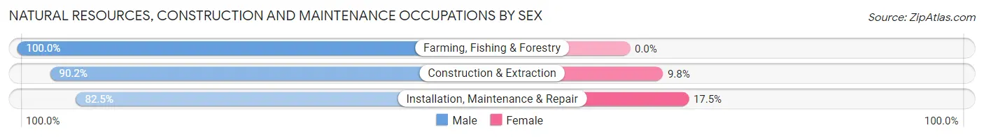 Natural Resources, Construction and Maintenance Occupations by Sex in Zip Code 84109