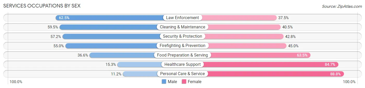 Services Occupations by Sex in Zip Code 84129