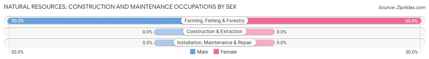 Natural Resources, Construction and Maintenance Occupations by Sex in Zip Code 84533