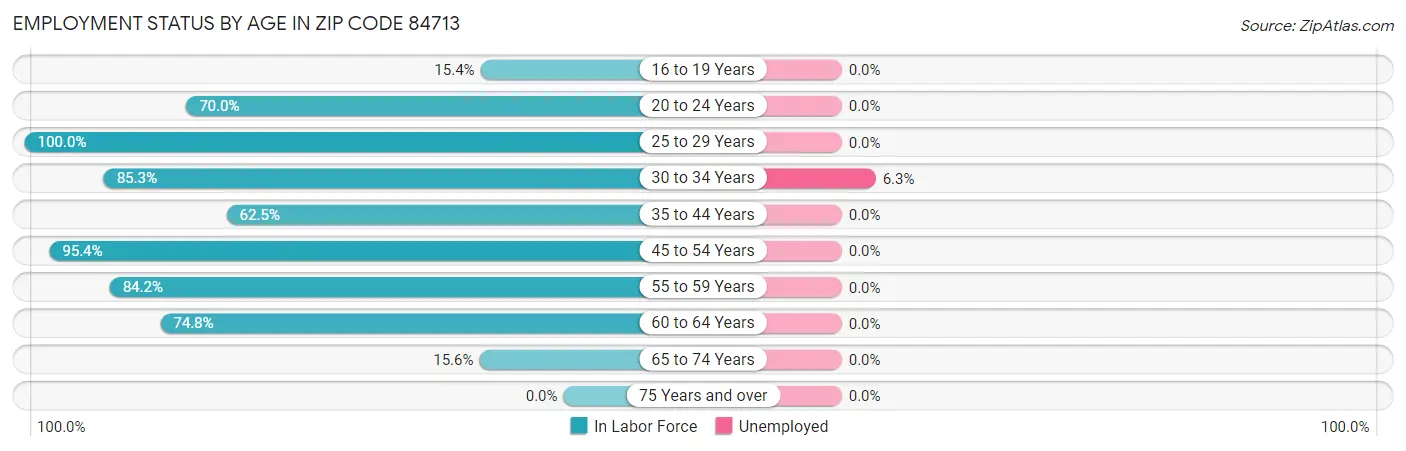Employment Status by Age in Zip Code 84713
