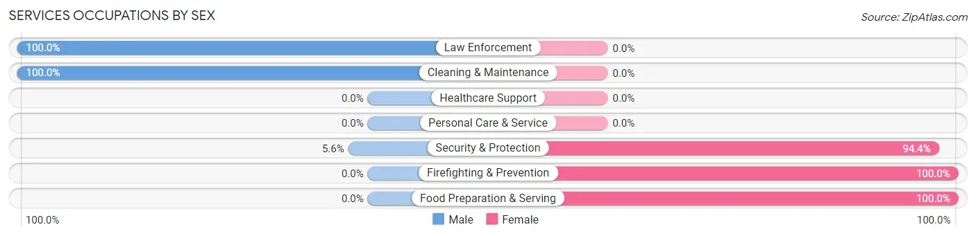 Services Occupations by Sex in Zip Code 84729