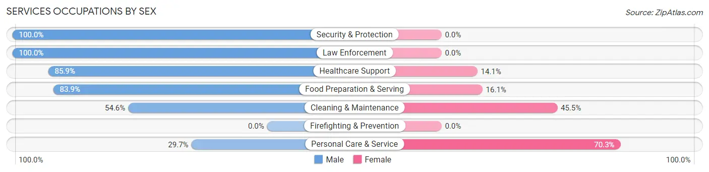 Services Occupations by Sex in Zip Code 84741