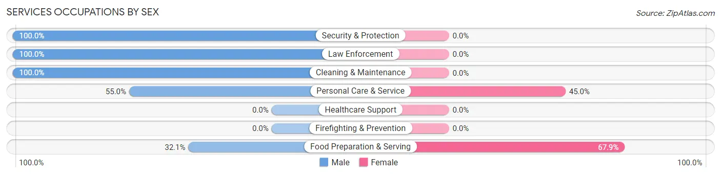 Services Occupations by Sex in Zip Code 84776