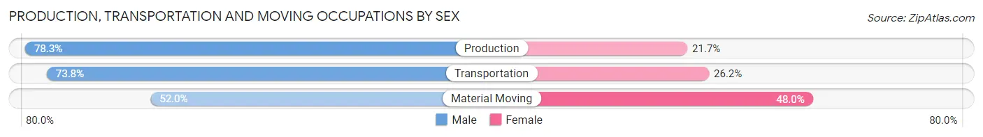 Production, Transportation and Moving Occupations by Sex in Zip Code 85085