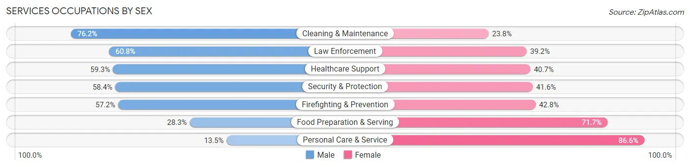 Services Occupations by Sex in Zip Code 85085