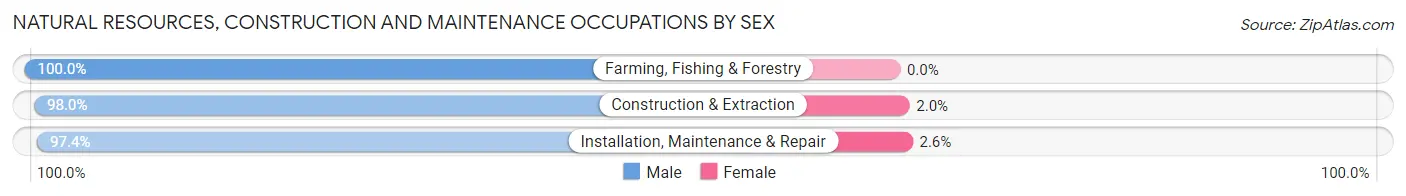 Natural Resources, Construction and Maintenance Occupations by Sex in Zip Code 85120