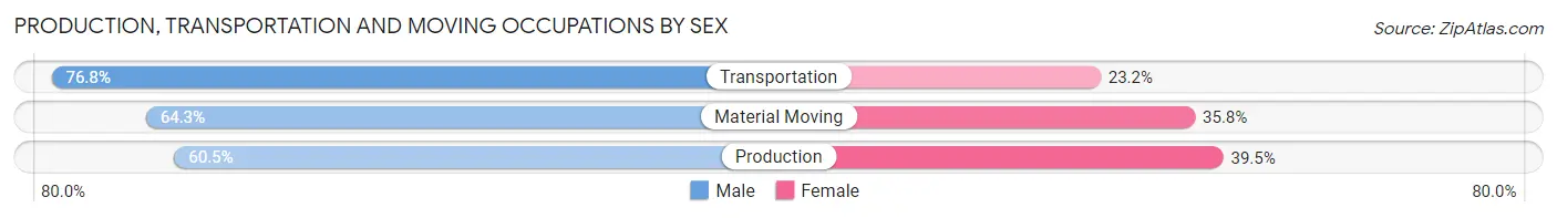 Production, Transportation and Moving Occupations by Sex in Zip Code 85143