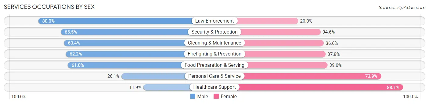 Services Occupations by Sex in Zip Code 85203