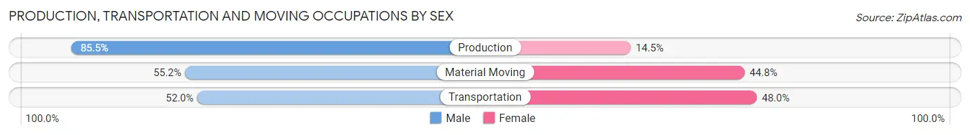 Production, Transportation and Moving Occupations by Sex in Zip Code 85307