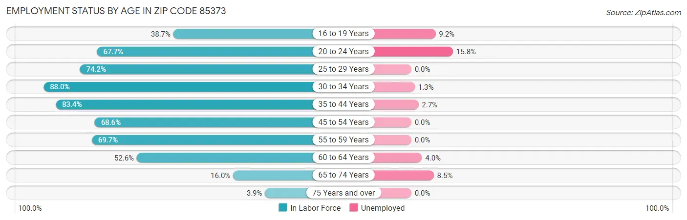 Employment Status by Age in Zip Code 85373