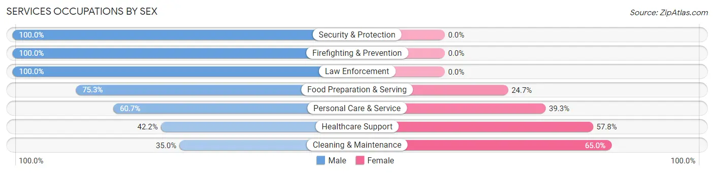 Services Occupations by Sex in Zip Code 85373