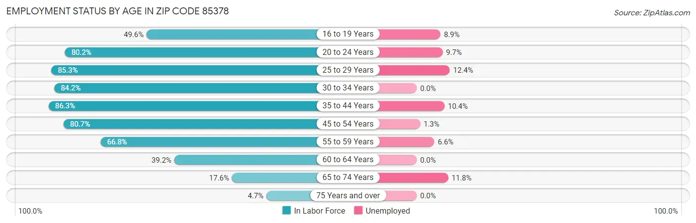 Employment Status by Age in Zip Code 85378