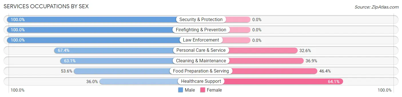 Services Occupations by Sex in Zip Code 85378