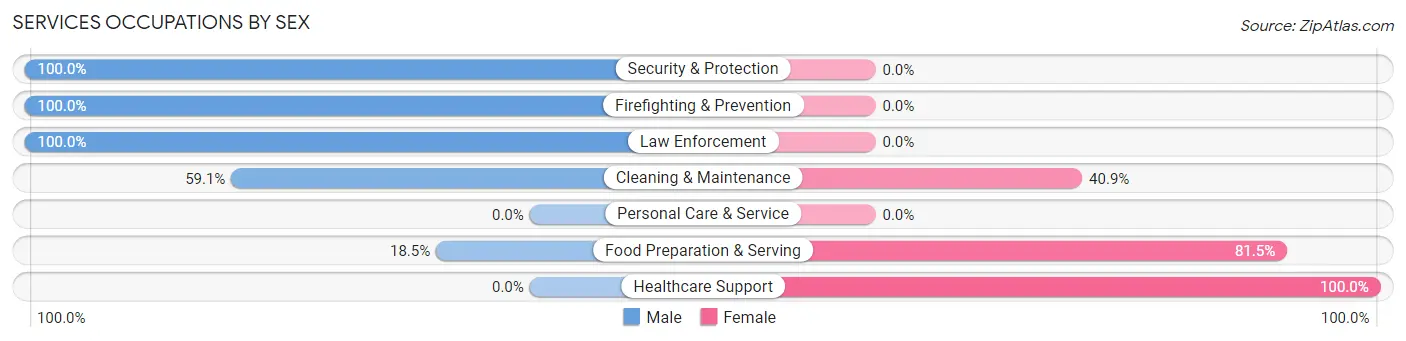 Services Occupations by Sex in Zip Code 85530