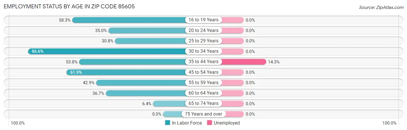 Employment Status by Age in Zip Code 85605