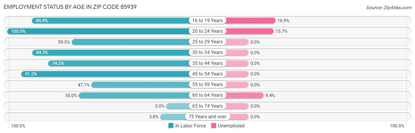 Employment Status by Age in Zip Code 85939
