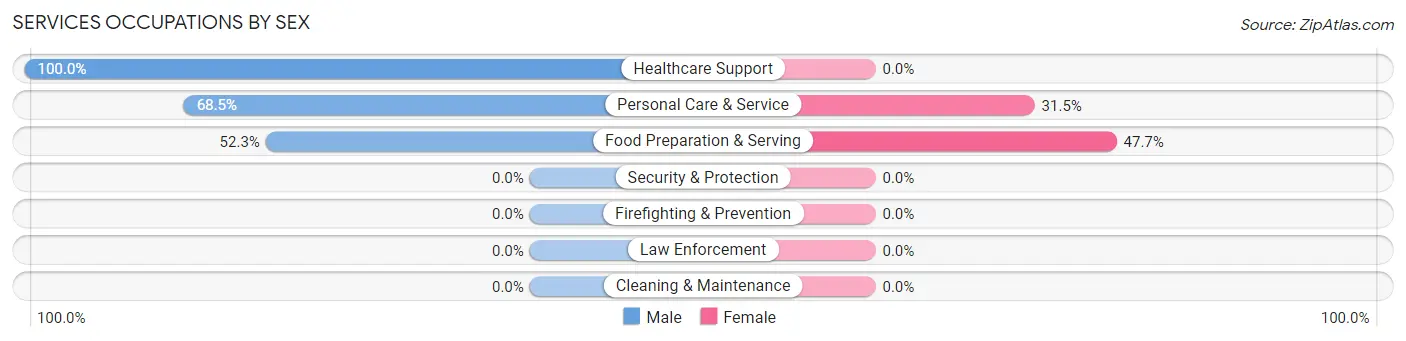 Services Occupations by Sex in Zip Code 85939
