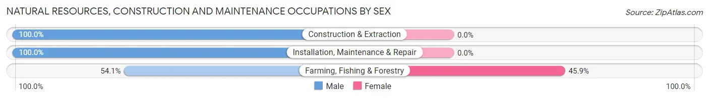 Natural Resources, Construction and Maintenance Occupations by Sex in Zip Code 86409