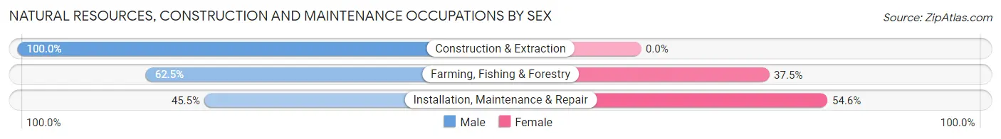 Natural Resources, Construction and Maintenance Occupations by Sex in Zip Code 86544