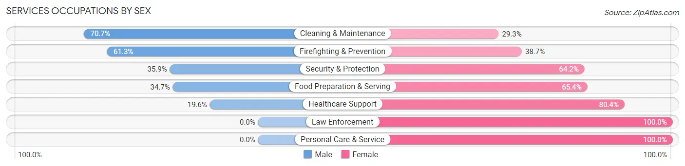 Services Occupations by Sex in Zip Code 87313