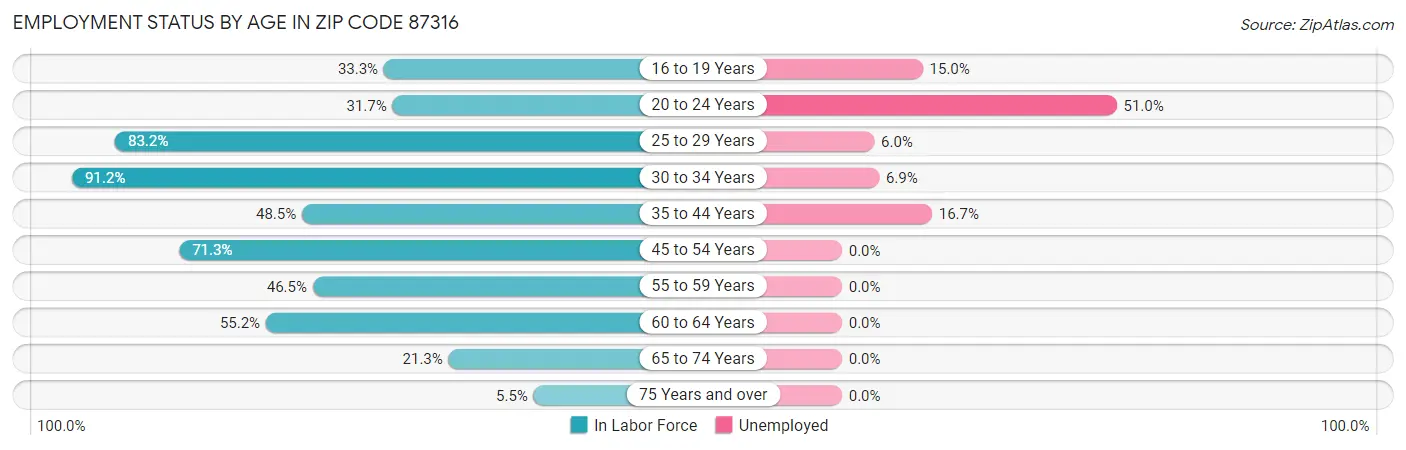 Employment Status by Age in Zip Code 87316