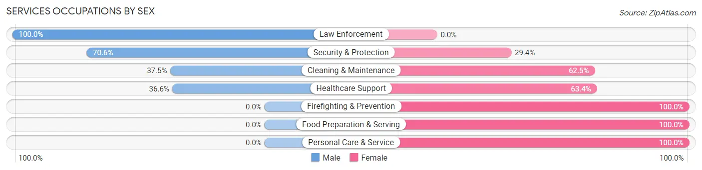 Services Occupations by Sex in Zip Code 87326