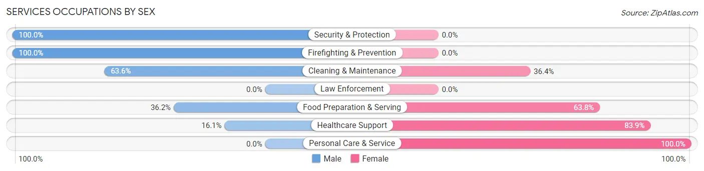 Services Occupations by Sex in Zip Code 87328