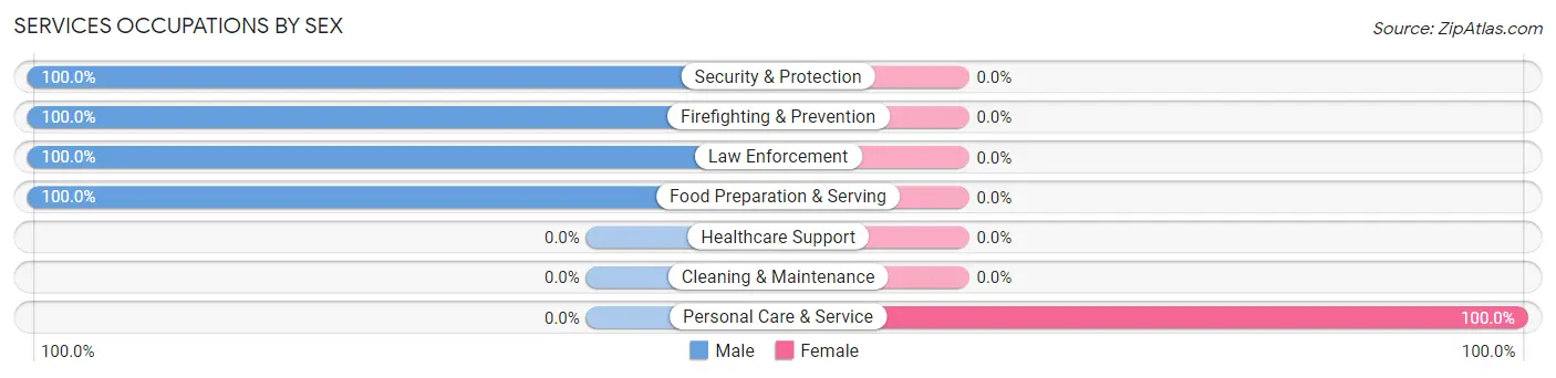 Services Occupations by Sex in Zip Code 87535