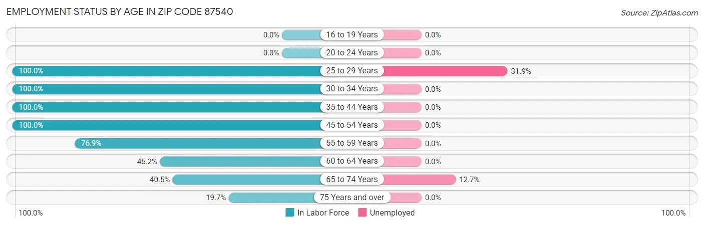 Employment Status by Age in Zip Code 87540