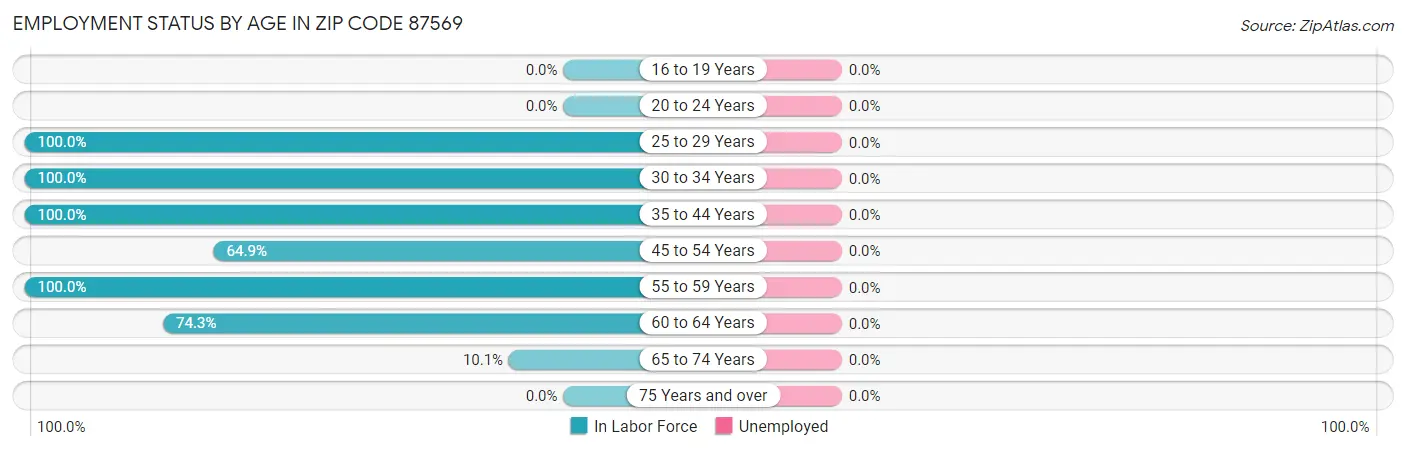 Employment Status by Age in Zip Code 87569