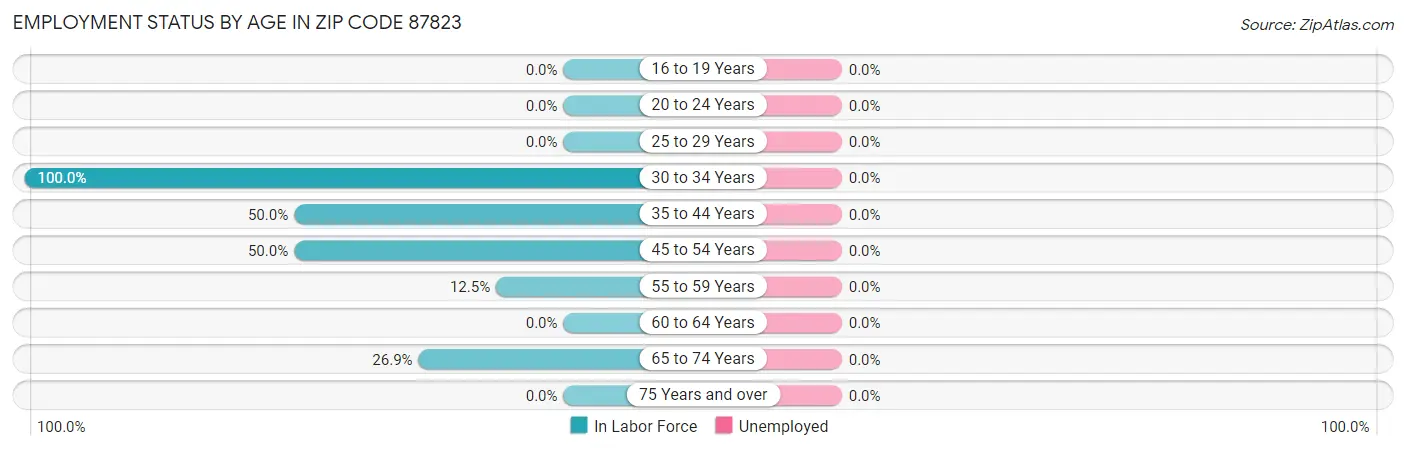 Employment Status by Age in Zip Code 87823