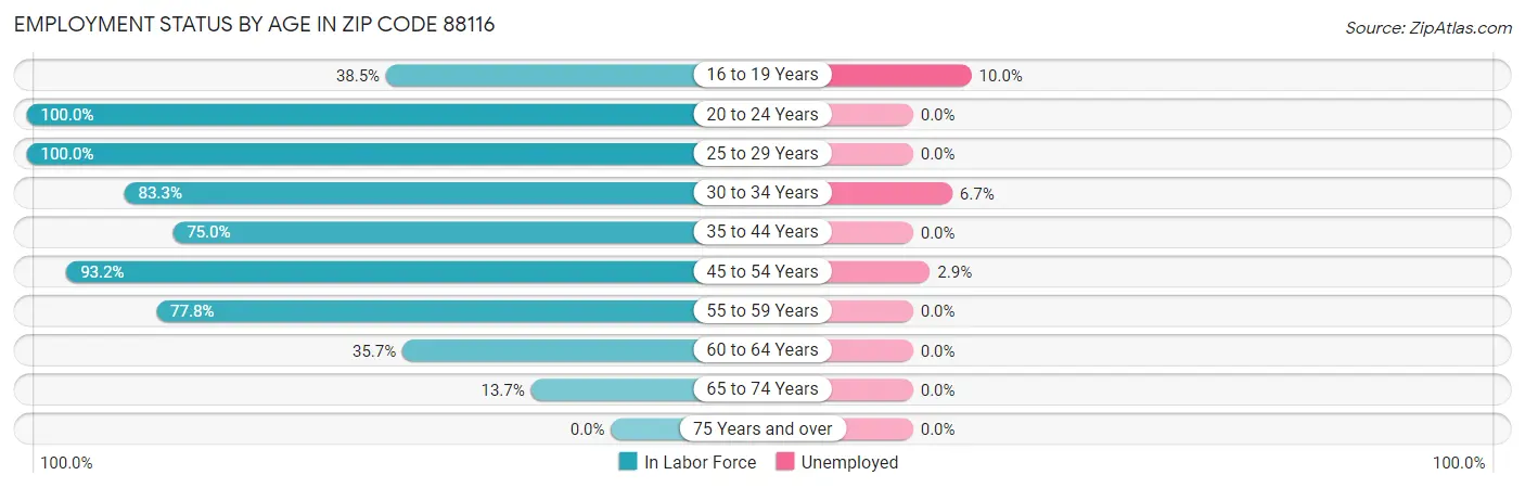 Employment Status by Age in Zip Code 88116