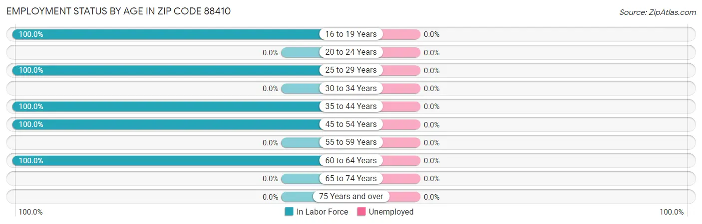 Employment Status by Age in Zip Code 88410